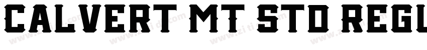 Calvert MT Std Regul字体转换